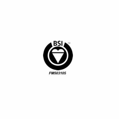 bsi-logo-2jpg